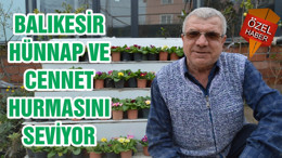 BALIKESİR HÜNNAP VE CENNET HURMASINI SEVİYOR