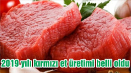 2019 yılı kırmızı et üretimi belli oldu