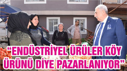 “ENDÜSTRİYEL ÜRÜLER KÖY ÜRÜNÜ DİYE PAZARLANIYOR”