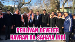 PEHLİVAN DEVELER HAVRAN'DA SAHAYA İNDİ