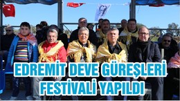 EDREMİT DEVE GÜREŞLERİ FESTİVALİ YAPILDI