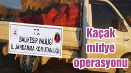 Kaçak midye operasyonu