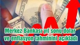 Merkez Bankası yıl sonu dolar ve enflasyon tahminini açıkladı