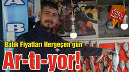 Balık Fiyatları Hergeçen gün Ar-tı-yor!