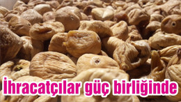 İhracatçılar güç birliğinde