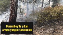Dursunbey'de çıkan orman yangını söndürüldü