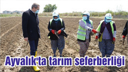 Ayvalık'ta tarım seferberliği