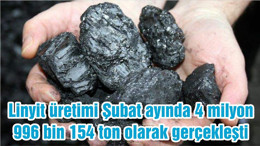 Linyit üretimi Şubat ayında 4 milyon 996 bin 154 ton olarak gerçekleşti