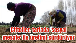 Çiftçiler, tarlada 'sosyal mesafe' ile üretimi sürdürüyor