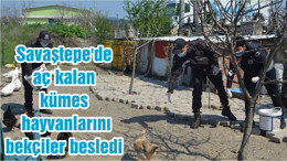 Savaştepe'de aç kalan kümes hayvanlarını bekçiler besledi