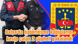Balya'da haberleşme kablolarını kesip çalan 2 şüpheli yakalandı
