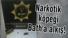 Narkotik köpeği Bath'a alkış!