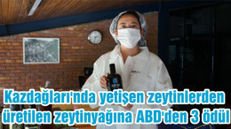 Kazdağları'nda yetişen zeytinlerden üretilen zeytinyağına ABD'den 3 ödül