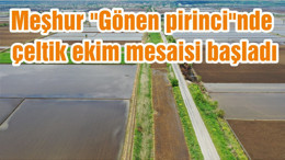 Meşhur "Gönen pirinci"nde çeltik ekim mesaisi başladı