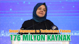 176 MİLYON KAYNAK