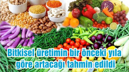 Bitkisel üretimin bir önceki yıla göre artacağı tahmin edildi