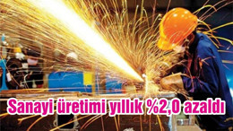 Sanayi üretimi yıllık %2,0 azaldı