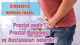 Prostat nedir? Prostat Büyümesi ve Hastalıkları nelerdir?