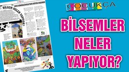 BİLSEMLER NELER YAPIYOR?