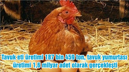 Tavuk eti üretimi 187 bin 459 ton, tavuk yumurtası üretimi 1,6 milyar adet olarak gerçekleşti