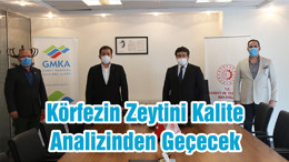 Körfezin Zeytini Kalite Analizinden Geçecek