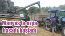 Manyas'ta arpa hasadı başladı