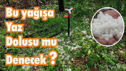 Bu yağışa Yaz Dolusu mu Denecek?