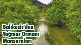 Balıkesir’den Yağmur Ormanı Manzaraları