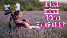 En özel anların dekoru "mor tarlalar"