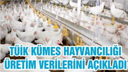 TÜİK KÜMES HAYVANCILIĞI ÜRETİM VERİLERİNİ AÇIKLADI