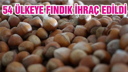 54 ÜLKEYE FINDIK İHRAÇ EDİLDİ