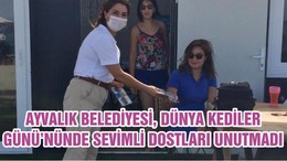 AYVALIK BELEDİYESİ, DÜNYA KEDİLER GÜNÜ’NÜNDE SEVİMLİ DOSTLARI UNUTMADI