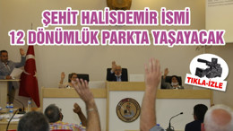 ŞEHİT HALİSDEMİR İSMİ 12 DÖNÜMLÜK PARKTA YAŞAYACAK