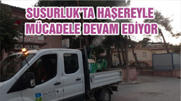 SUSURLUK’TA HAŞEREYLE MÜCADELE DEVAM EDİYOR