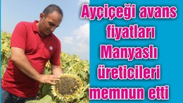 Ayçiçeği avans fiyatları Manyaslı üreticileri memnun etti