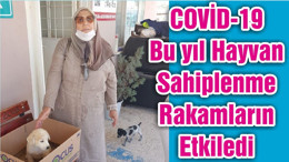 COVİD-19 Bu yıl Hayvan Sahiplenme Rakamların Etkiledi