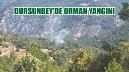 DURSUNBEY’DE ORMAN YANGINI