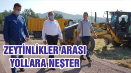 ZEYTİNLİKLER ARASI YOLLARA NEŞTER