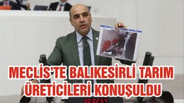 MECLİS’TE BALIKESİRLİ TARIM ÜRETİCİLERİ KONUŞULDU