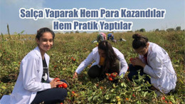 Salça Yaparak Hem Para Kazandılar Hem Pratik Yaptılar