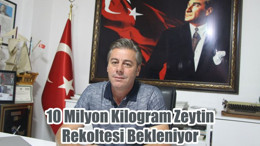 10 Milyon Kilogram Zeytin Rekoltesi Bekleniyor