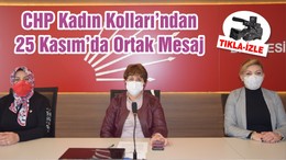 CHP Kadın Kolları’ndan 25 Kasım’da Ortak Mesaj