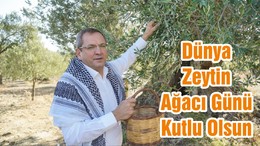 Dünya Zeytin Ağacı Günü Kutlu Olsun