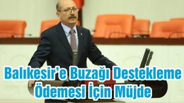 Balıkesir’e Buzağı Destekleme Ödemesi İçin Müjde