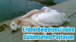 Erdek Belediyesi’nden Gülümseten Paylaşım