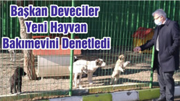 Başkan Deveciler Yeni Hayvan Bakımevini Denetledi