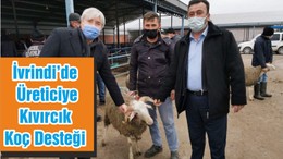 İvrindi’de Üreticiye Kıvırcık Koç Desteği
