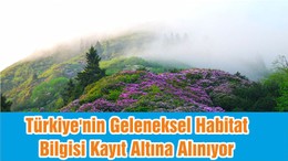 Türkiye'nin Geleneksel Habitat Bilgisi Kayıt Altına Alınıyor
