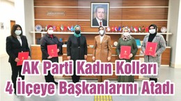 AK Parti Kadın Kolları 4 İlçeye Başkanlarını Atadı