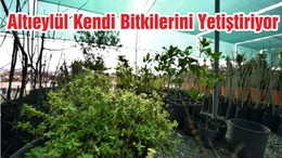 Altıeylül Kendi Bitkilerini Yetiştiriyor